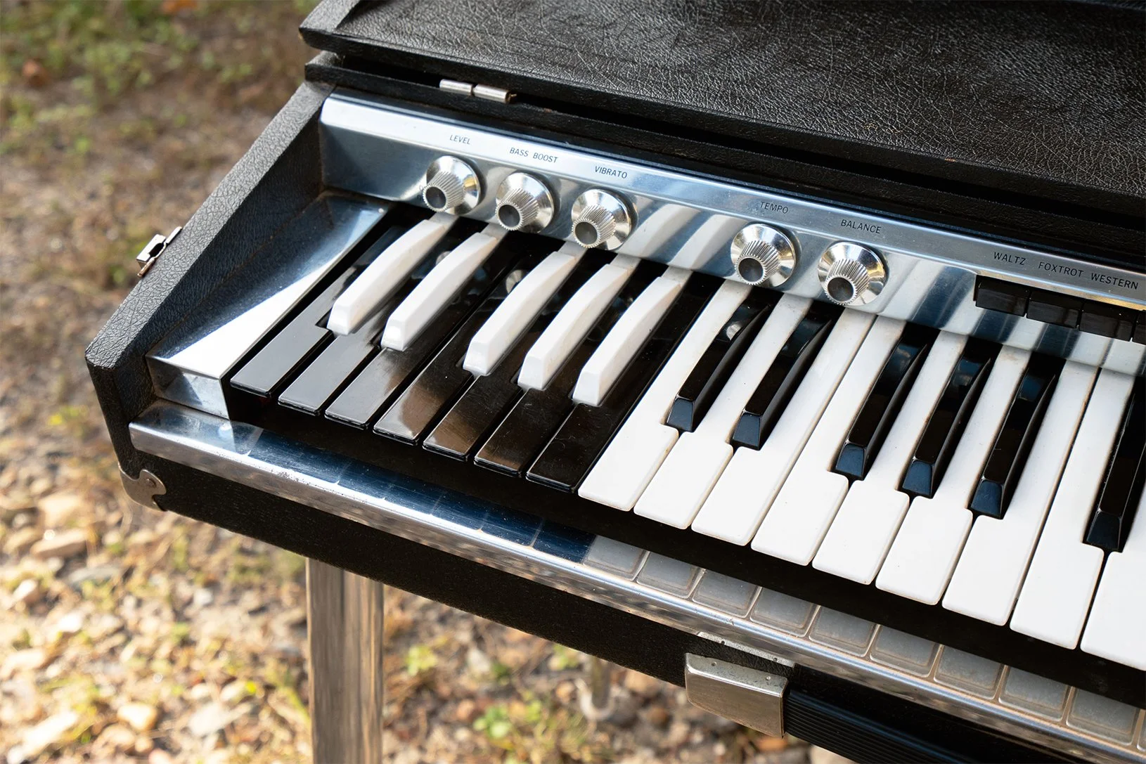 Vintage keyboard shop — Tropical Fish